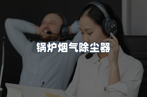 锅炉烟气除尘器